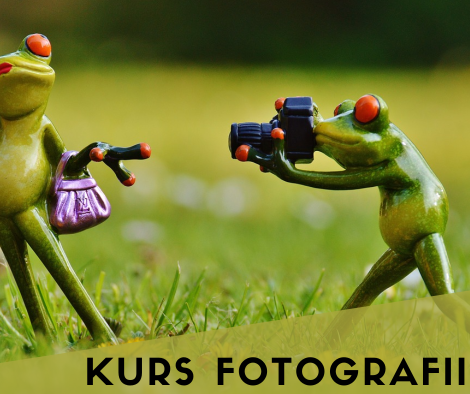 szkolenie wózek widłowy