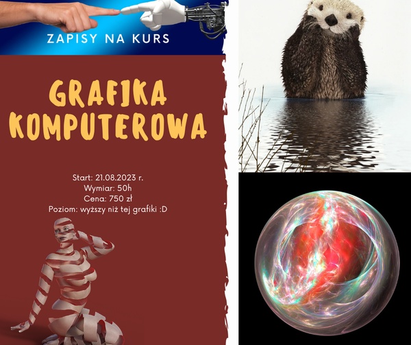 szkolenie grafik komputerowy