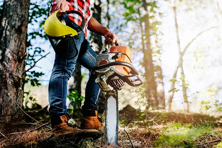 Piła do&nbsp;drewna